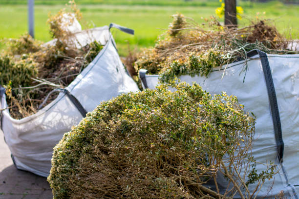 Best Shed Removal  in Norco, CA